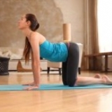 Flexibility and Range of Motion