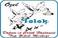 zel Telek Doum ocuk Hastanesi ve Tp Bebek Merkezi